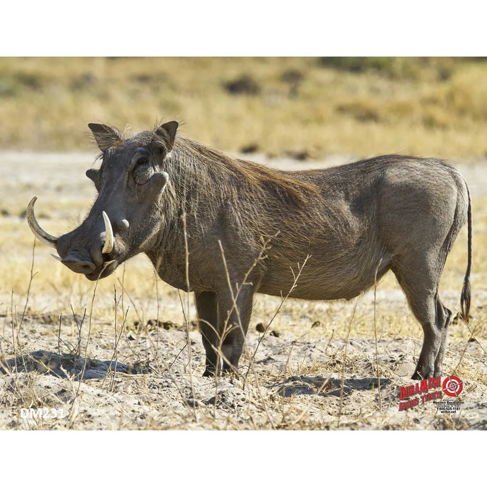 DuraMesh Archery Target - Warthog