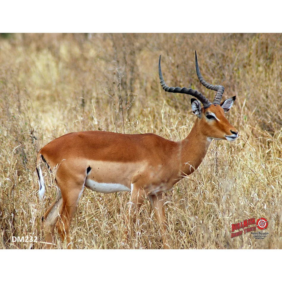 DuraMesh Archery Target - Impala