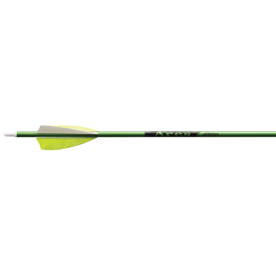 Victory Ares Youth Arrows