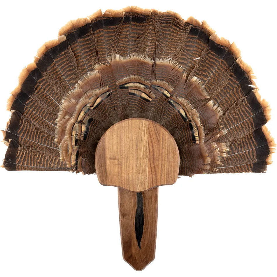 Walnut Hollow Turkey Mount Kit (Walnut)