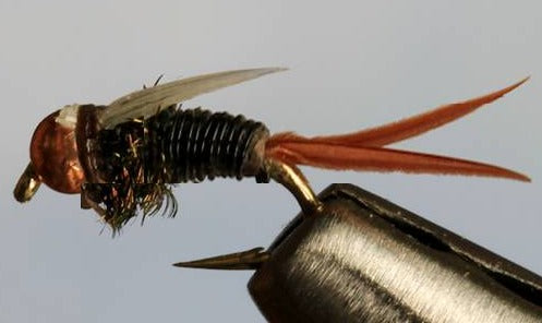 BH Ultra Prince - 5 Colors