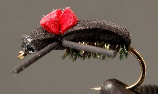 Red Top - Black Foam Beetle