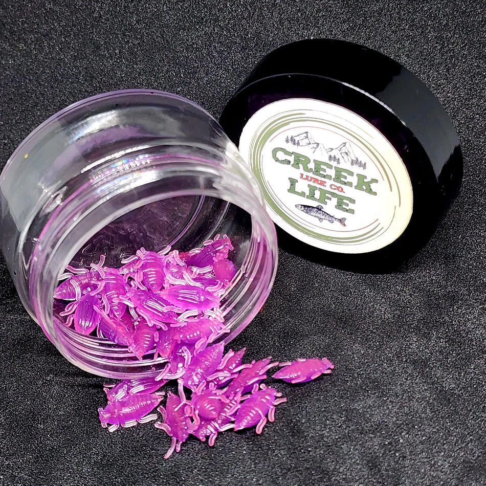 Jar of 0.5" Half Inch Micro Beetle "Toe Biter"