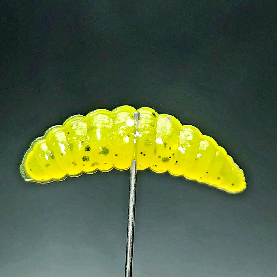 Jar of 1" Waxworm "The Tater Bug"