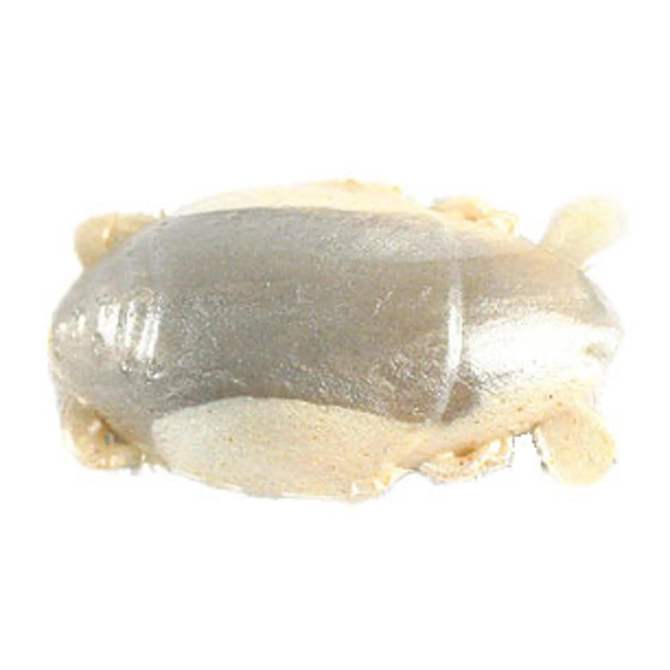 Berkley Gulp Sand Crab Flea