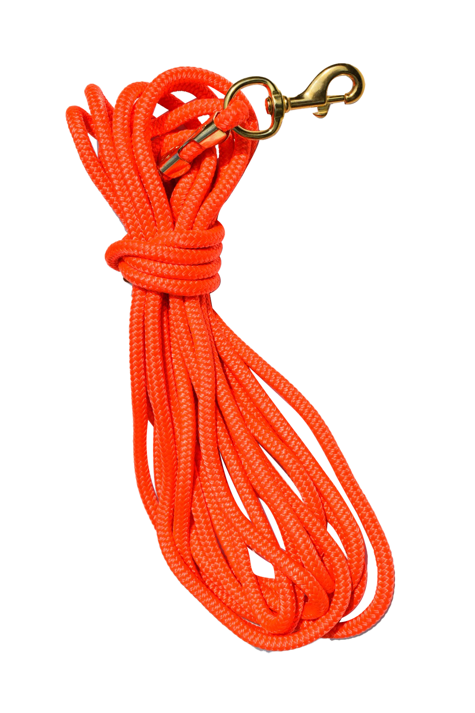 30ft Nylon Dog Training Check Cord / Rope