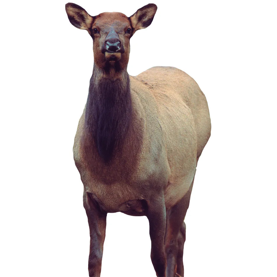 Montana Decoy Eichler Elk Decoy