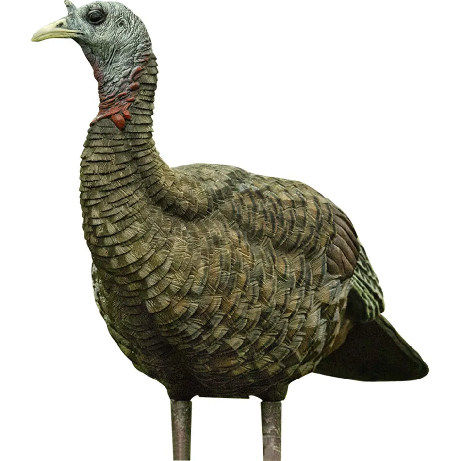 Avian X Lookout Turkey Decoy