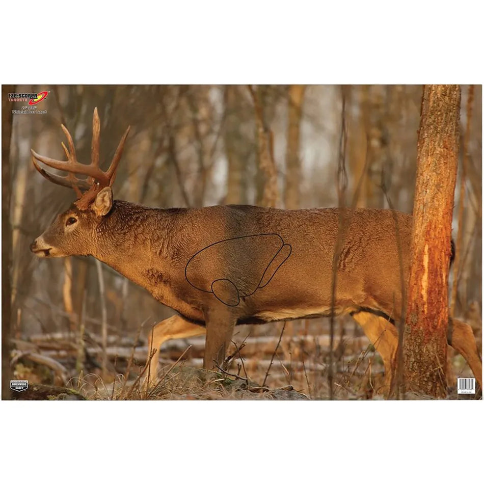 Birchwood Casey EZE-Scorer Whitetail Target