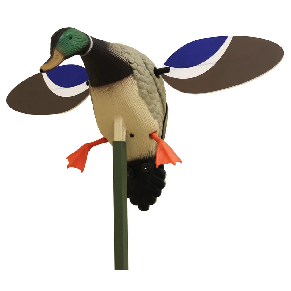 Mojo Baby MOJO Drake Decoy