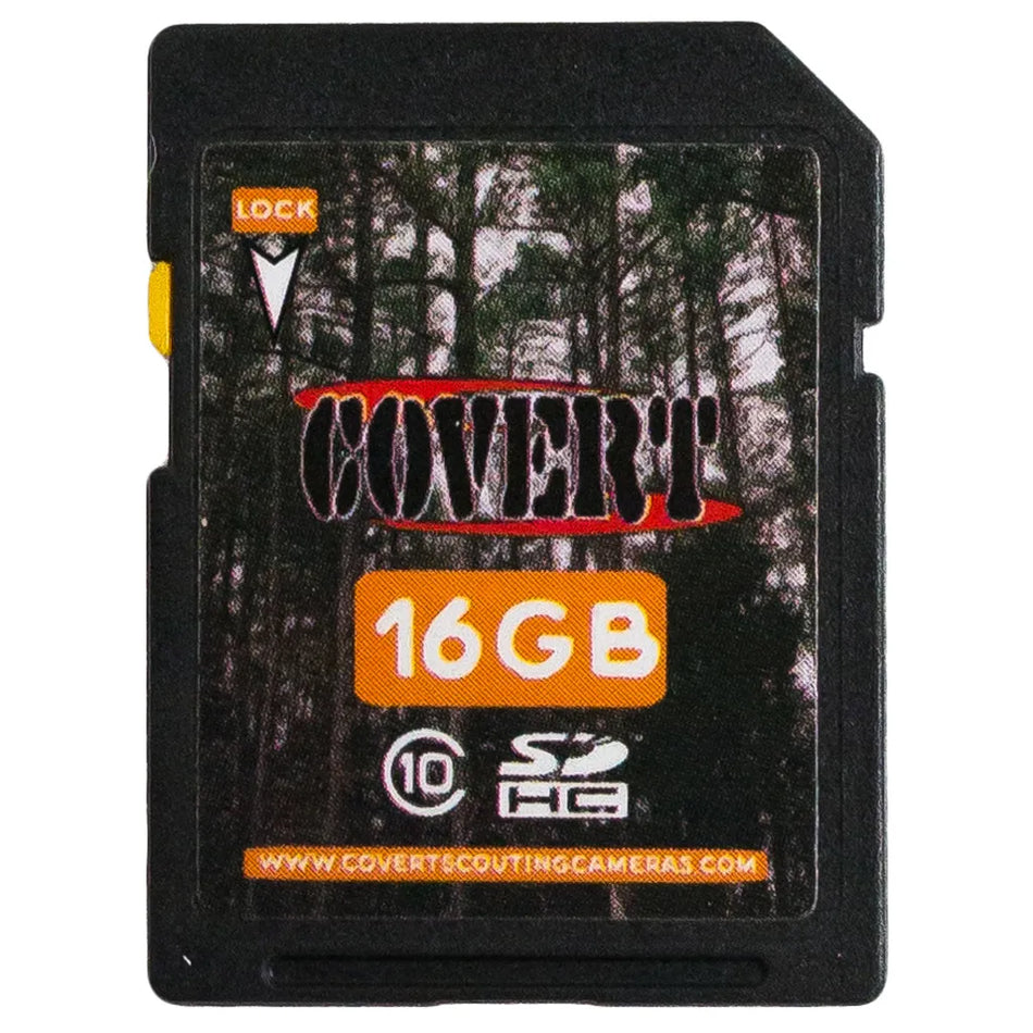 Covert SD Memory Card