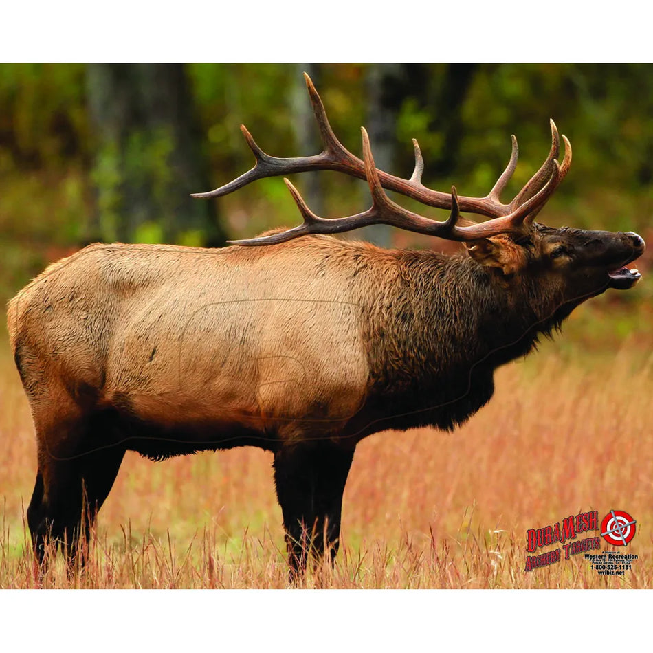 DuraMesh Archery Target - Elk