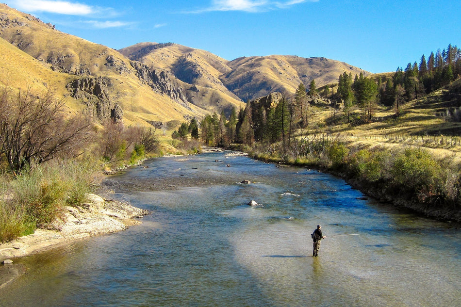 San Juan Worm Hot Orange Bead Power Worm  Red V-Rib - Set of 6 Nymph Flies Hook Size 14