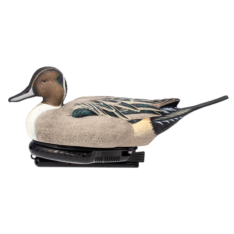 AvianX Power Swimmer Duck Decoy (Pintail Drake)