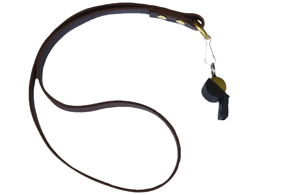 Brass Dog Whistle With Leather Lanyard