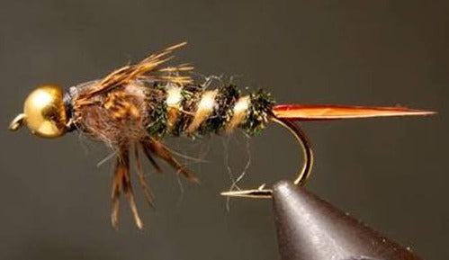 BH 20 Incher Stonefly Nymph