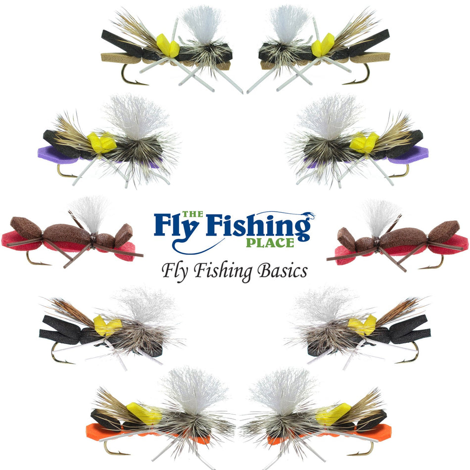 Basics Collection - Parachute Chernobyl Ant Foam Dry Fly Assortment - 10 Dry Fishing Grasshopper Dropper Flies - 5 Patterns - Hook Size 10