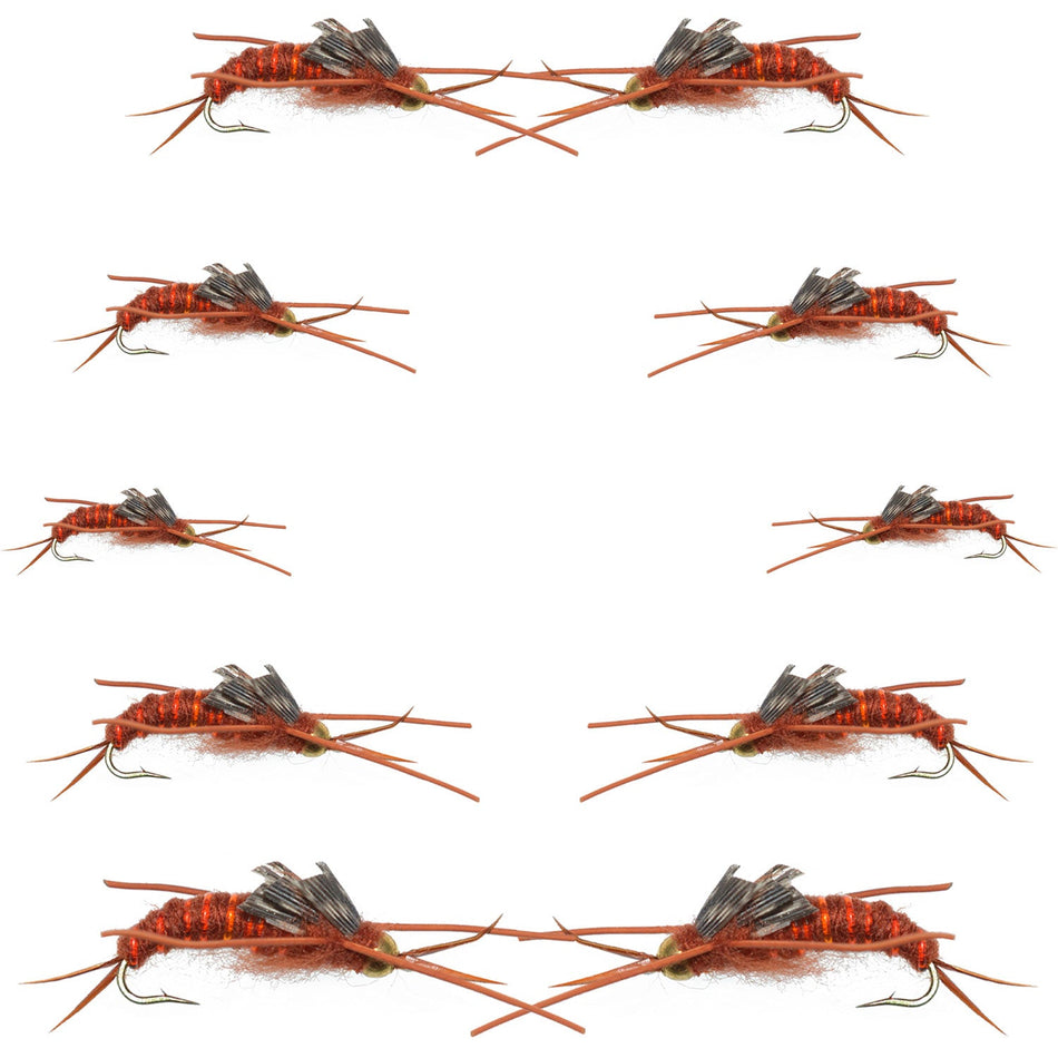 Basics Collection - Kaufmann's Brown Stonefly Nymph Assortment 10 Bead Head Rubber Legs Wet Flies - Hook Sizes 6, 8, 10, and 12