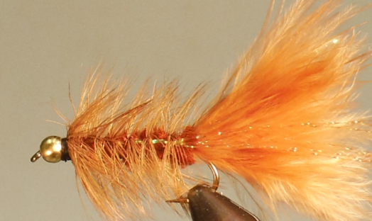 BH Woolly Bugger