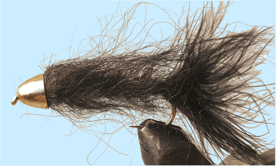 Cone Head - Bite Me Buggers