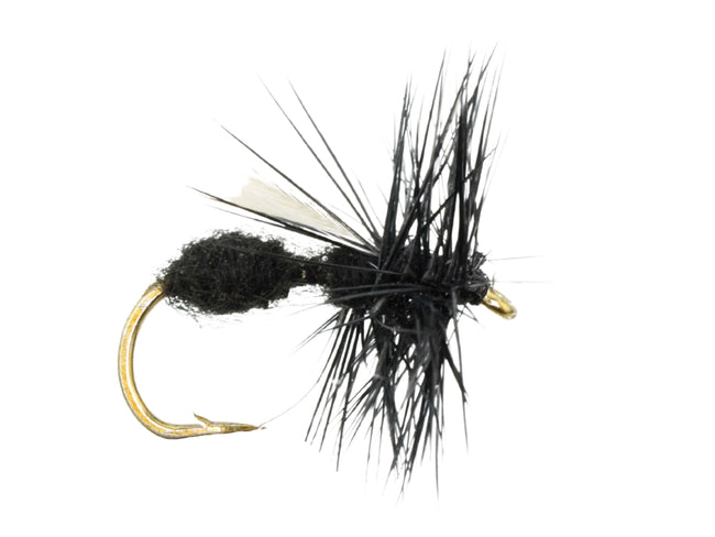 Winged Black Ant, Size 12 | Qty. 6 | Wild Water Fly Fishing