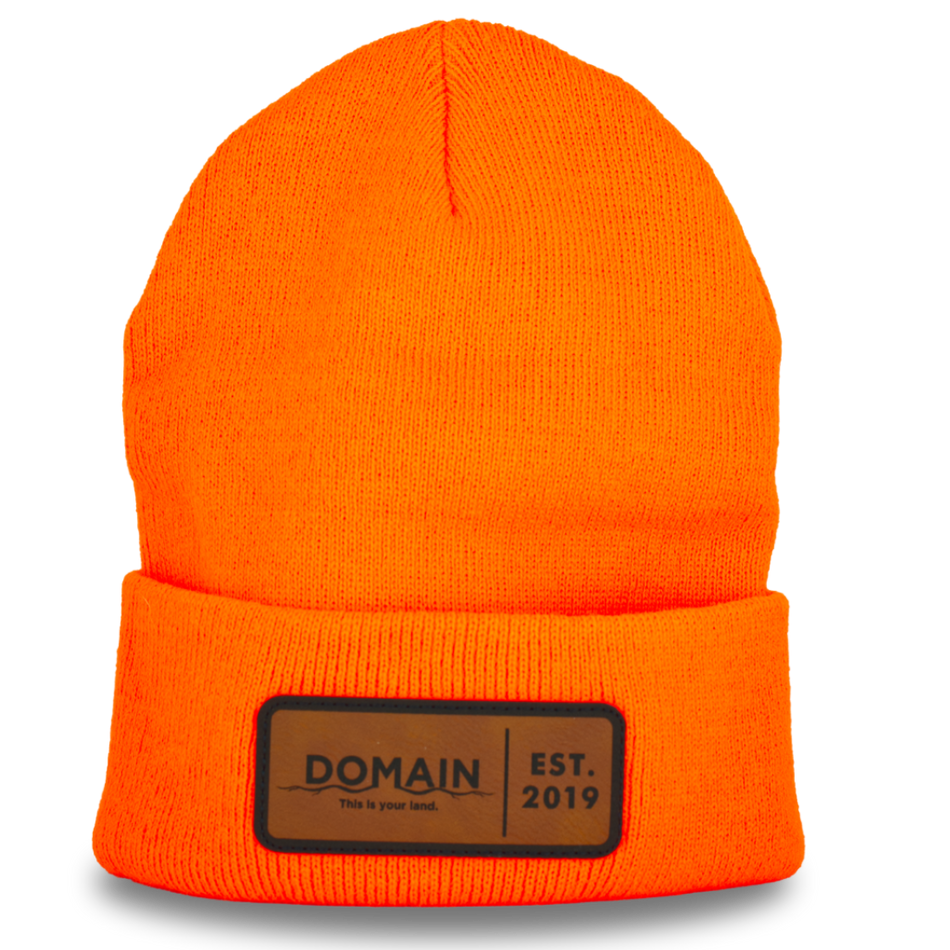 Domain Blaze Beanie