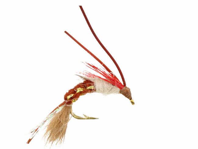 Woven Caddis with Rubber Legs, Size 10 | Brown | Qty. 6 | Wild Water Fly Fishing