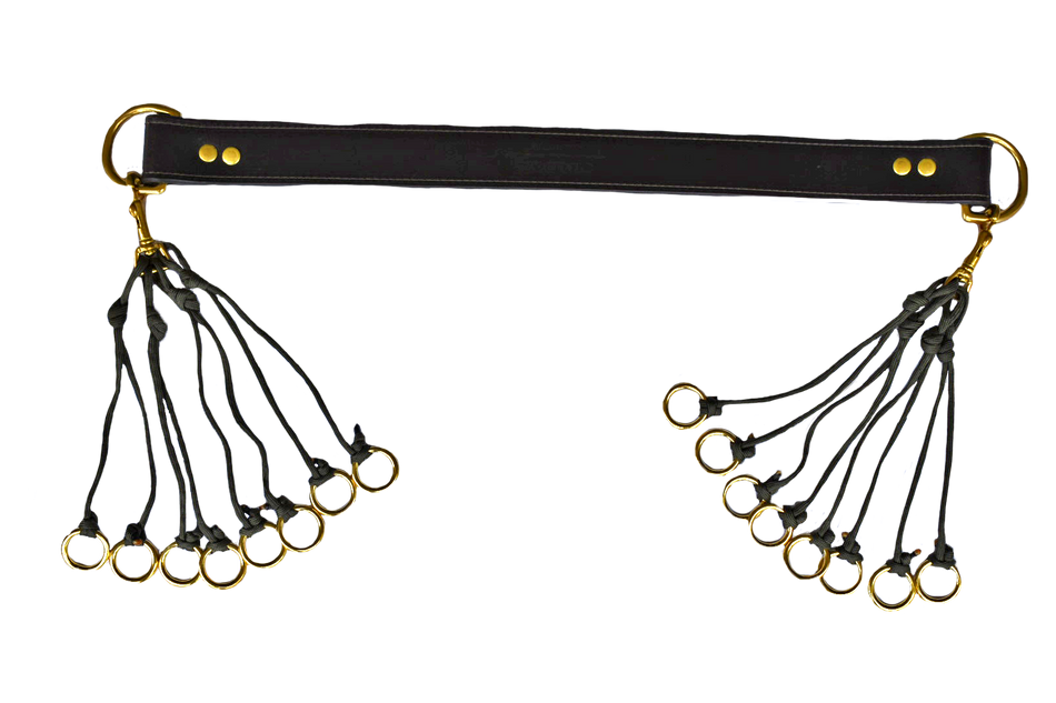 Wray Dove Carrier / Tote