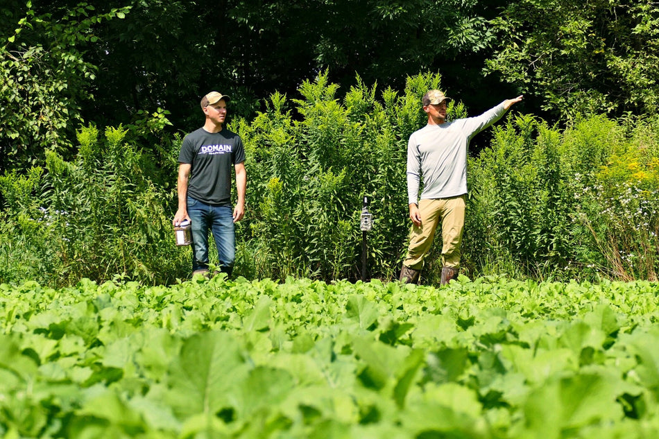 Domain Black T-Shirt