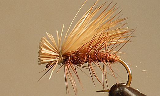 Elk Hair Caddis - 8 Colors!