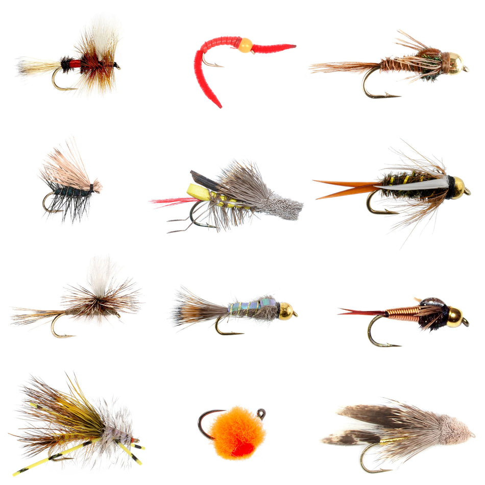 Trout Flies Assortment - 12 Flies for Trout Fly Fishing with Fly Box - Essential Dry and Wet Fly Selection