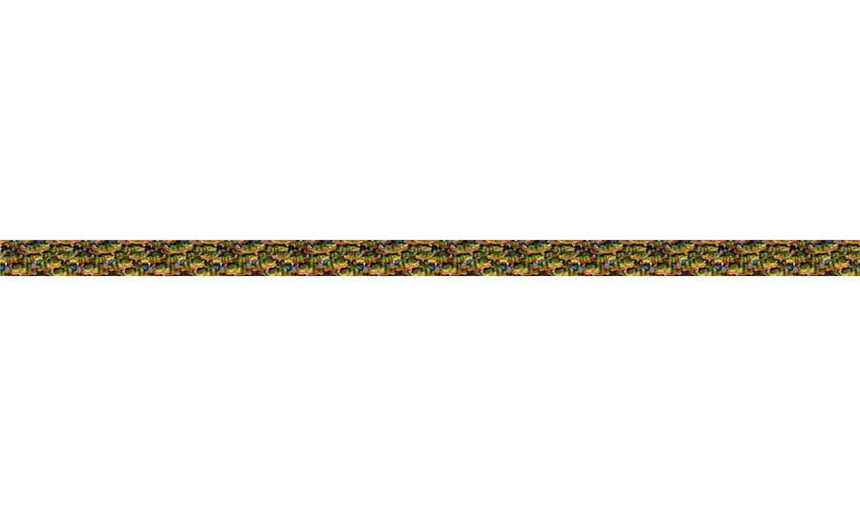 Peacock Bass Dog Leash