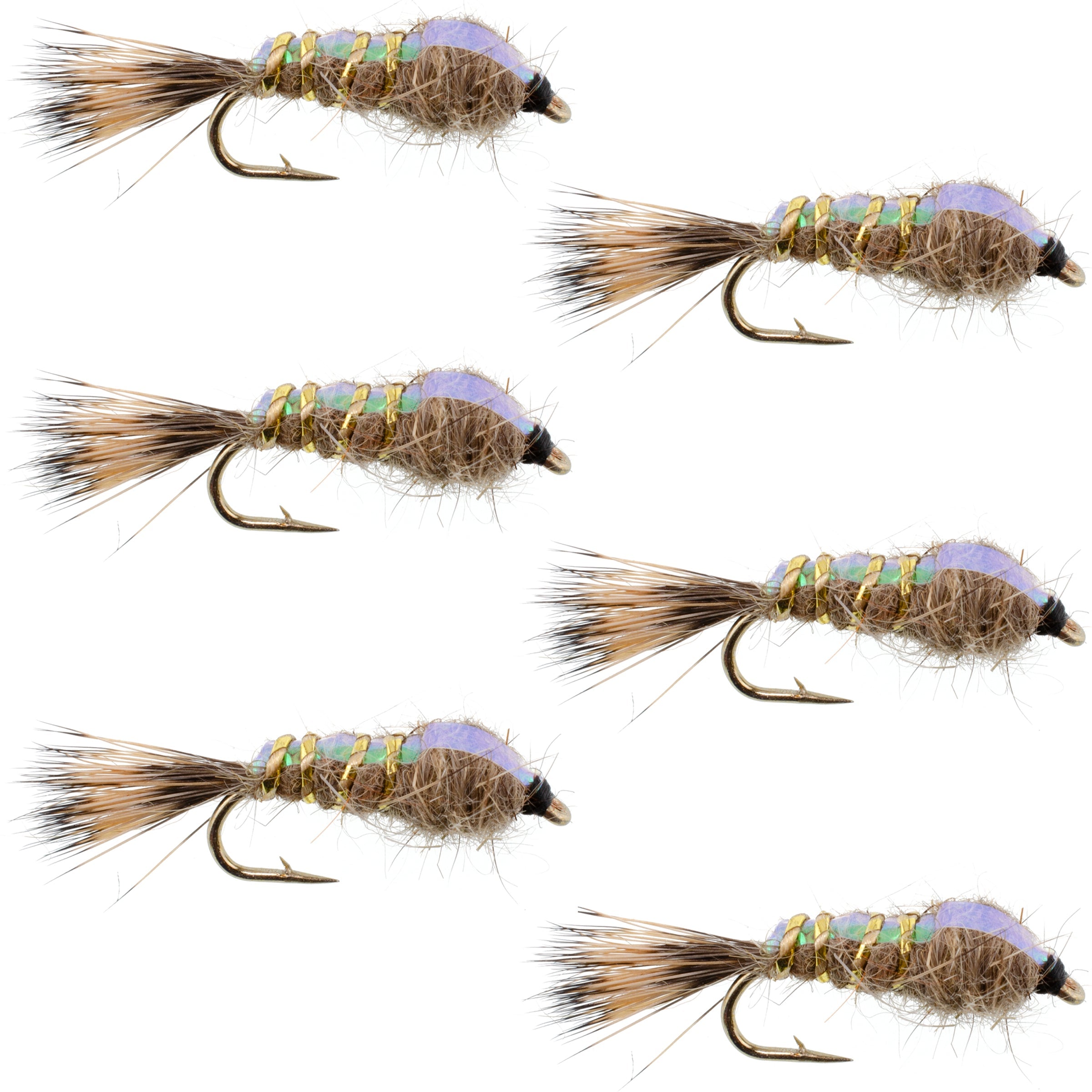 BestCity Fly Fishing Nymphs HARES EARS GRHE Selection with 12 fly suit size 10-16 trout flies PACK#2 BestCity Fly Fishing Nymphs HARES EARS GRHE Selection with 12 fly suit size 10-16 trout flies PACK#2