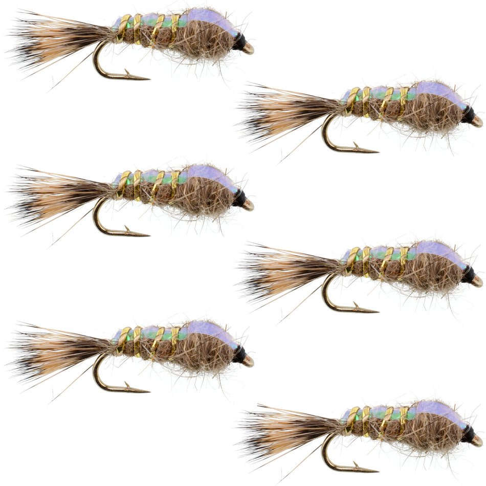 Classic Weighted Flashback Gold Ribbed Hares Ear Nymph - Set of 6 Flies - Size 14