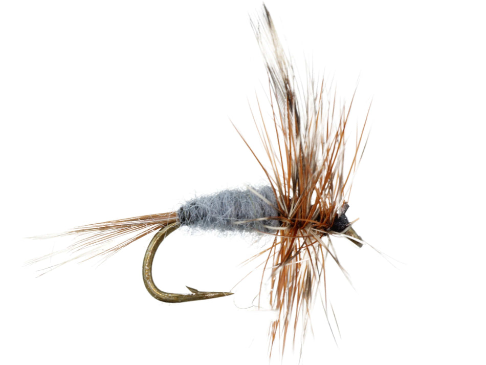 Gray Adams, Size 12 | Qty. 6 | Wild Water Fly Fishing