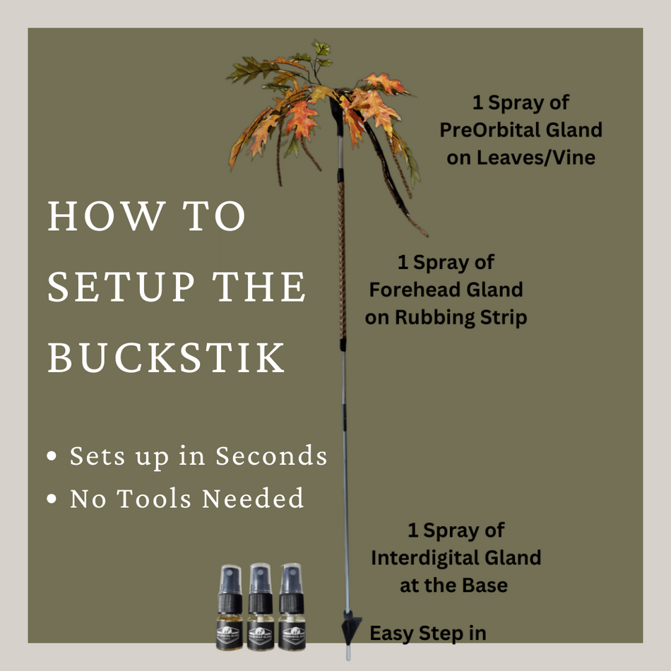 The "Ultimate Mock Scrape" Combo Pack