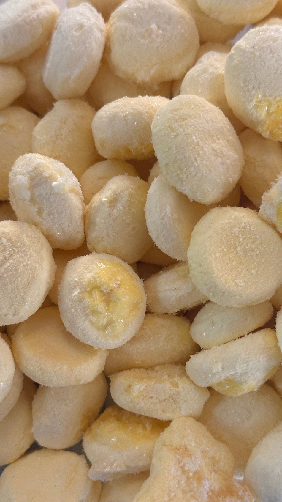 Single Ingredient Freeze Dried Quail Egg Yolks