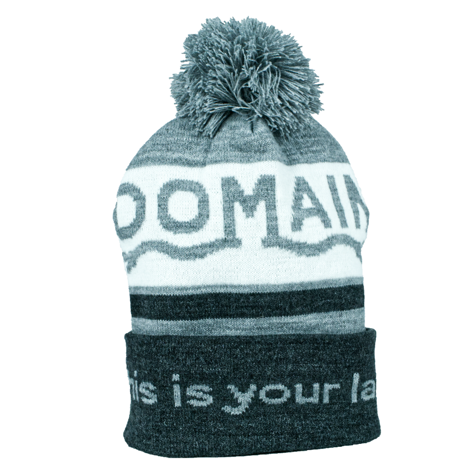 Domain Knit Beanie
