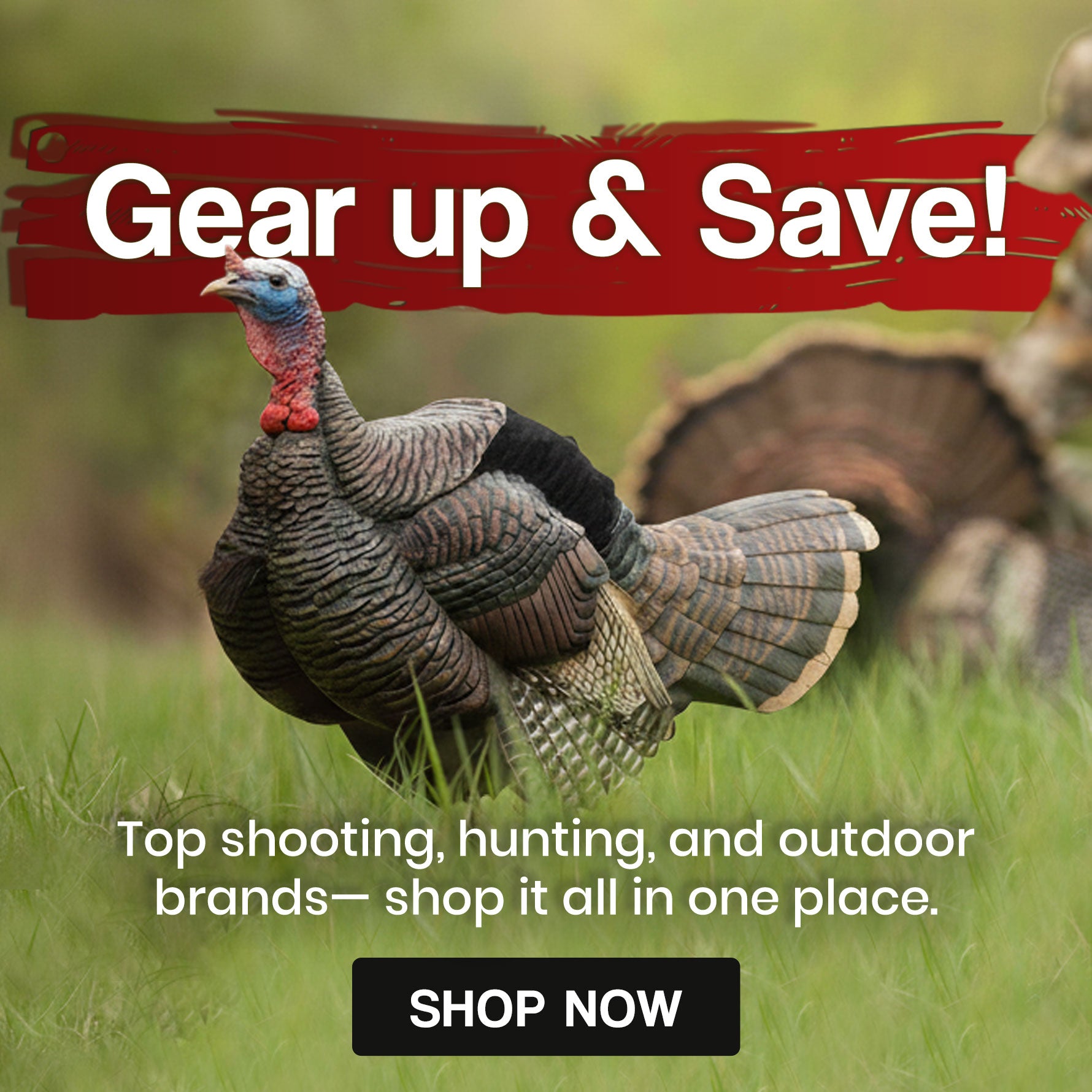 Gilet pêche, chasse, pro Safety - Sport & Plein air Gilet pêche, chasse, pro Safety - Sport & Plein air