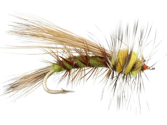 Stimulator Fly, Size 12 | Olive | Qty. 6 | Wild Water Fly Fishing