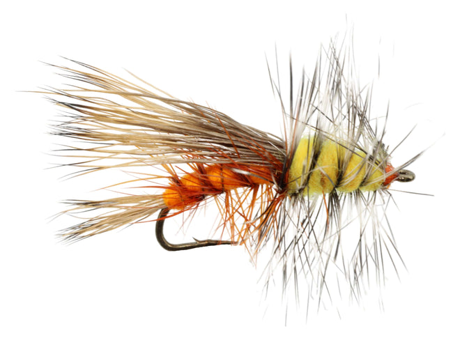 Stimulator Fly, Size 12 | Orange | Qty. 6 | Wild Water Fly Fishing