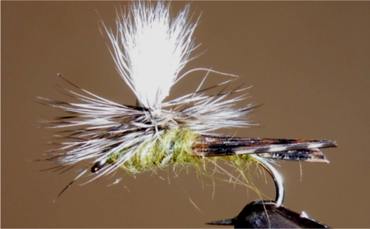 Parachute Caddis