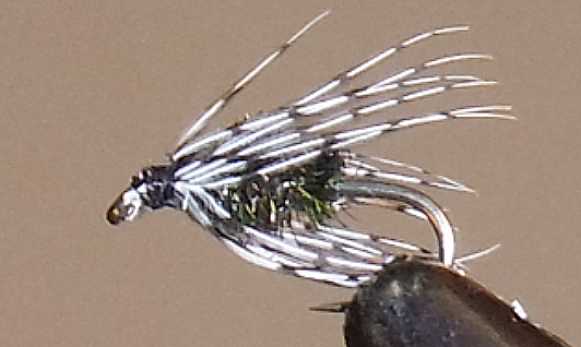 Soft Hackle Partridge