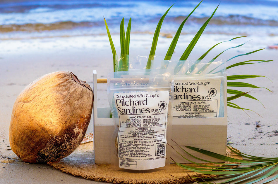 Dehydrated Wild Caught Pilchard Sardines for Cats & Dogs — 100% Single Ingredient | Raw Instincts Florida | 2 oz