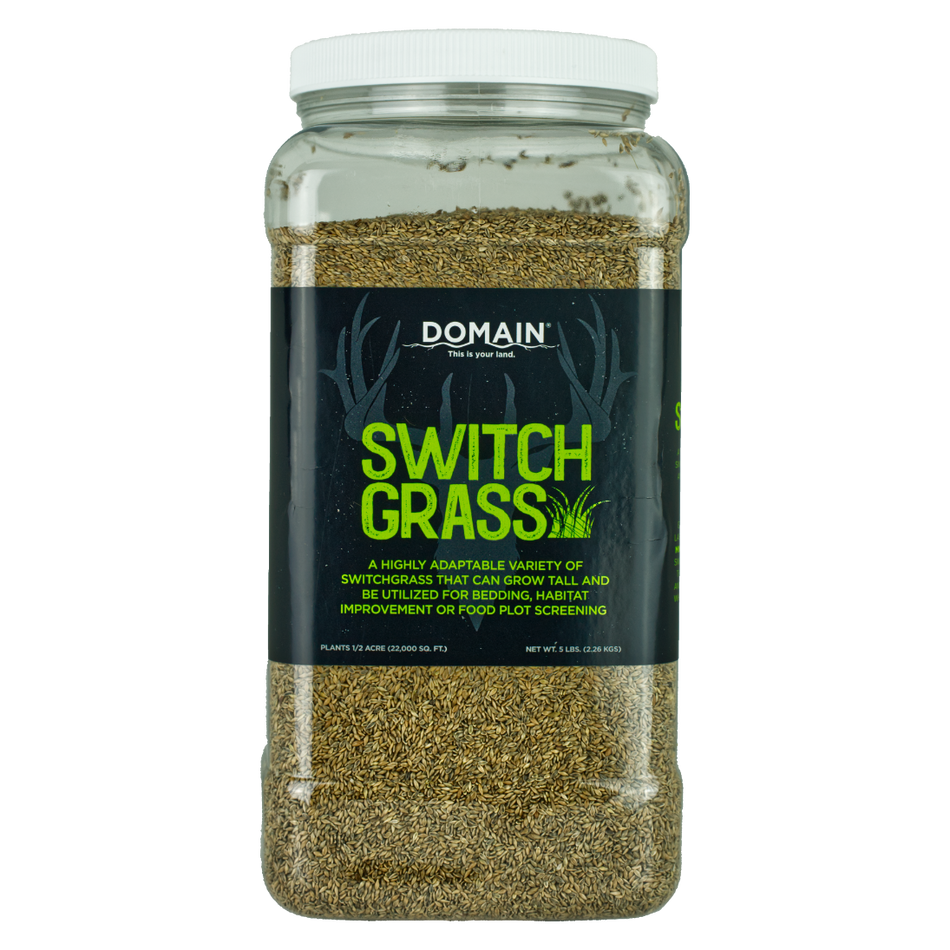 RC Big Rock Switchgrass