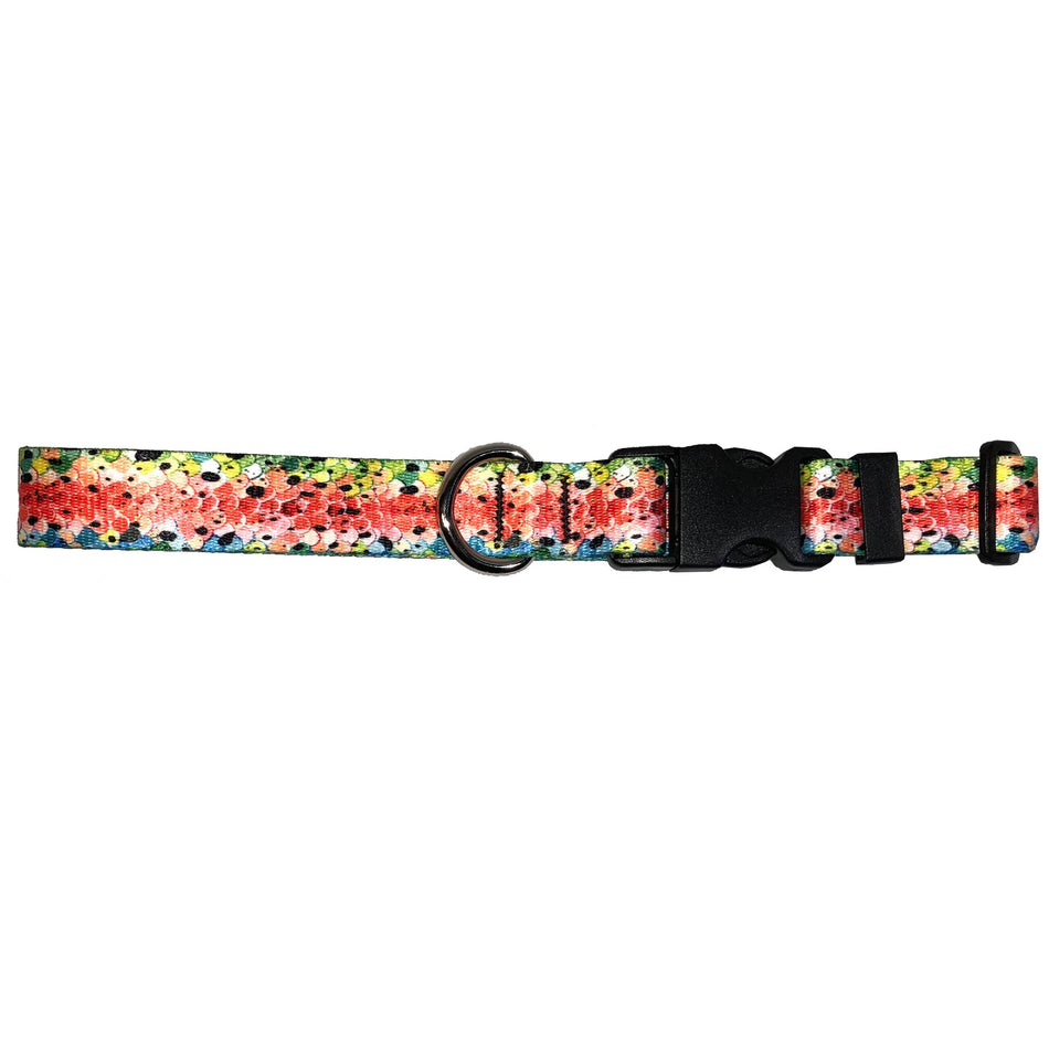 Rainbow#3 Trout Dog Collar