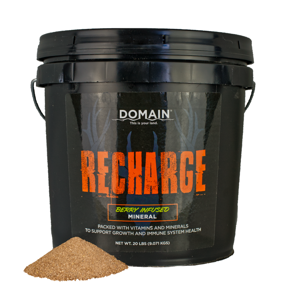 Recharge™ Deer Mineral