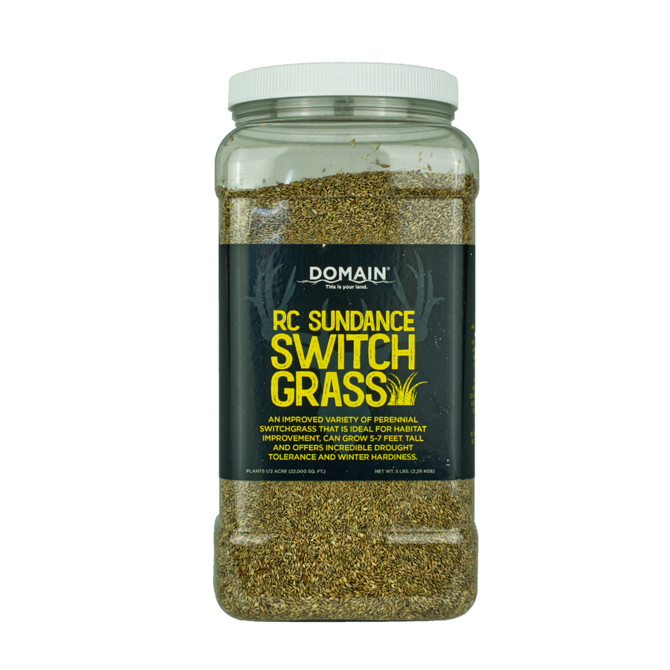 RC Sundance Switchgrass