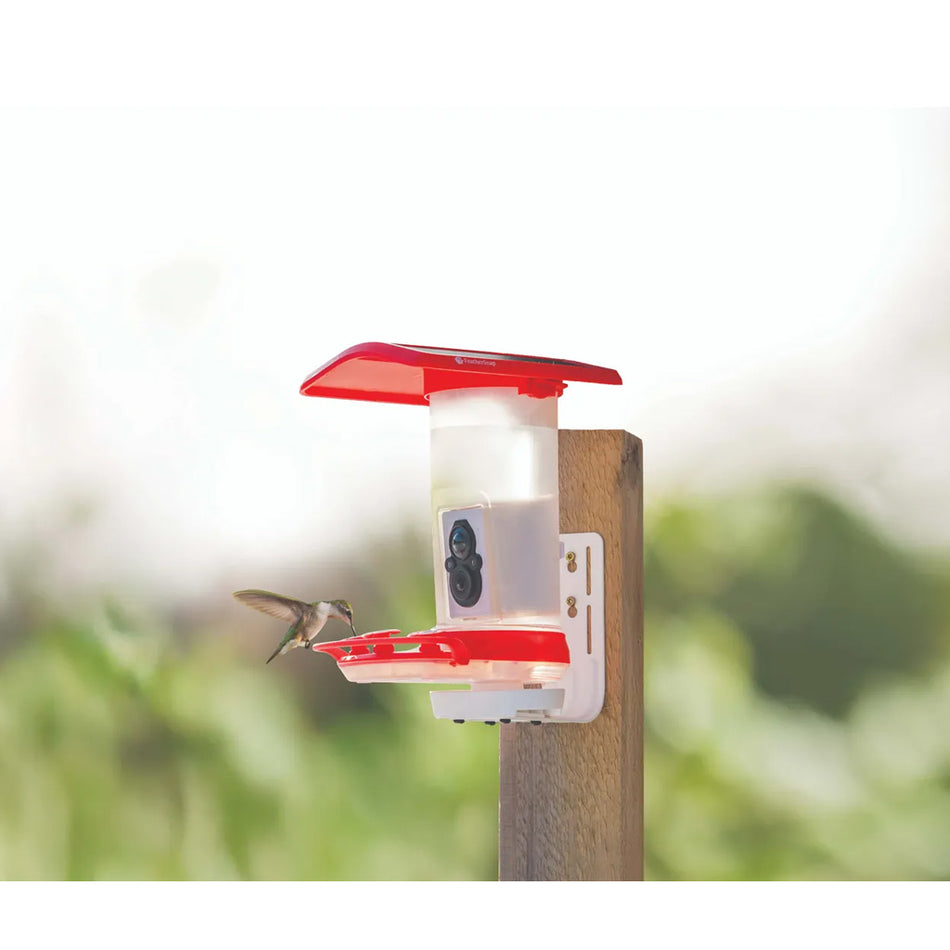 Tactacam FeatherSnap Hummingbird Feeder