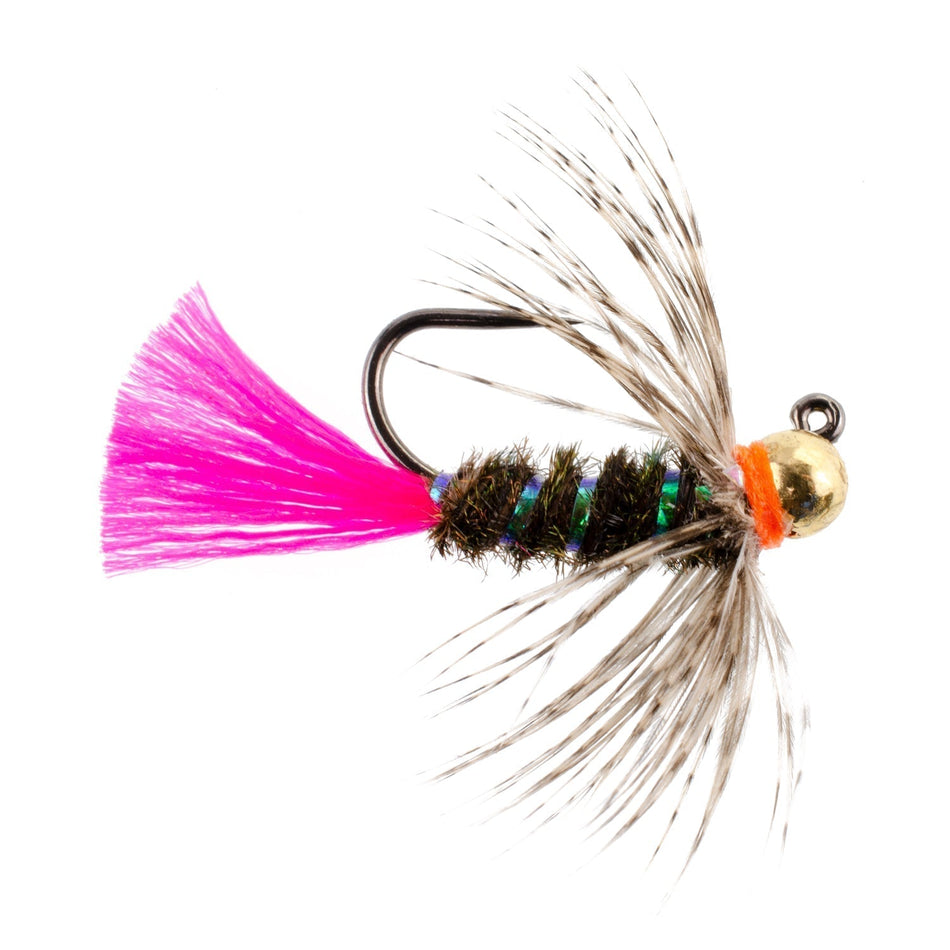 Tungsten Bead Jig Tactical Blow Torch Czech Nymph Euro Nymphing Fly - 1 Dozen Flies Size 10